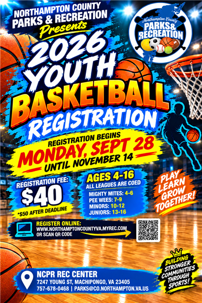 Youth Basketball